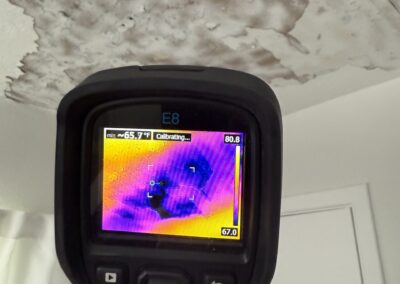 Moisture Detection Clearwater Florida