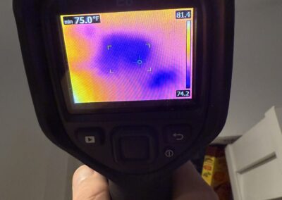 Moisture Detection Clearwater Florida