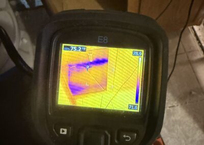 Moisture Detection Clearwater Florida