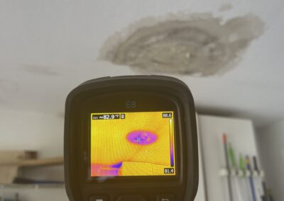 Moisture Detection Clearwater Florida