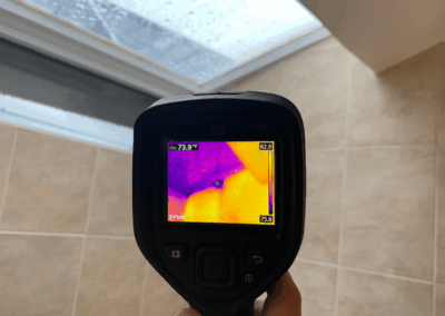 Moisture Detection Clearwater Florida