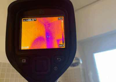 Moisture Detection Clearwater Florida