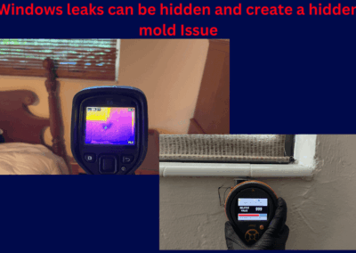 Moisture Detection Clearwater Florida