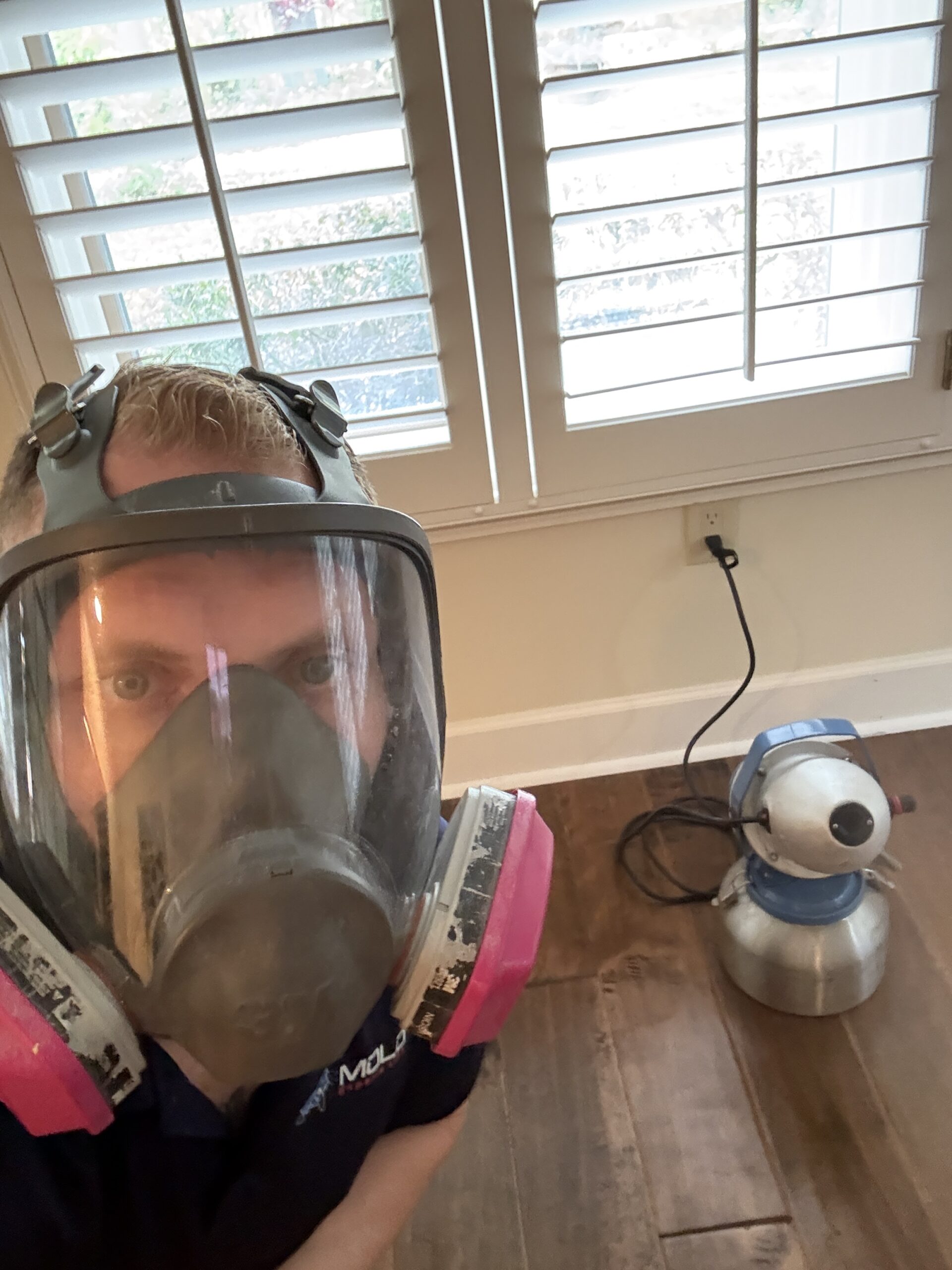 Mold-Remediation-Clearwater-Florida