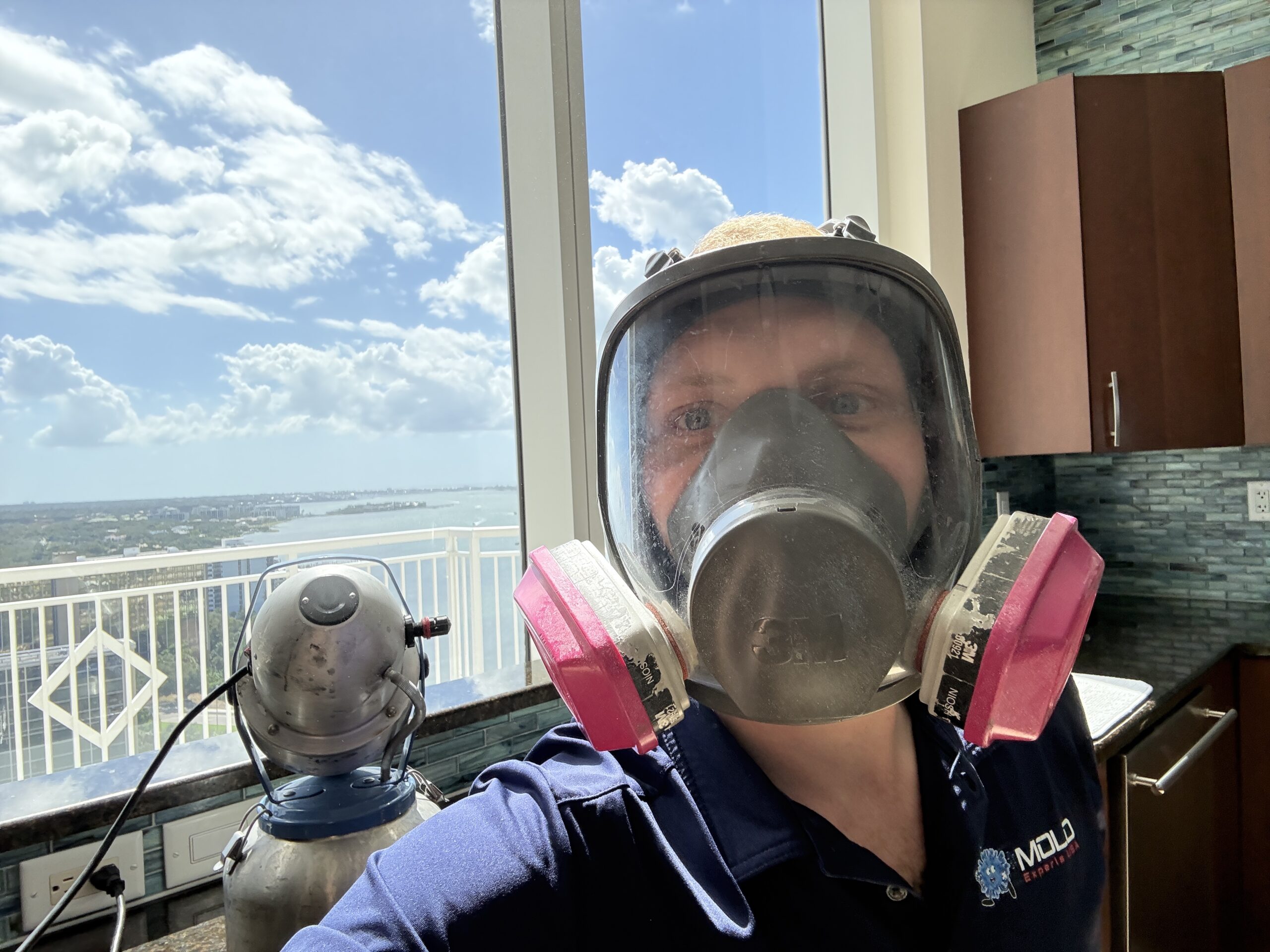 Mold-Remediation-Clearwater-Florida