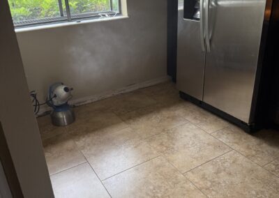 Mold Remediation Clearwater Florida