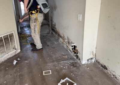 Mold-Remediation-Clearwater-Florida