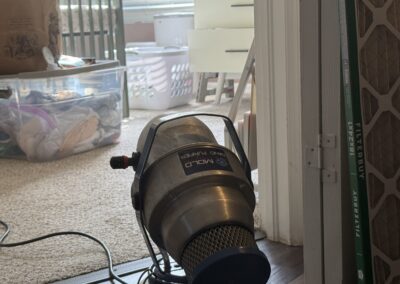 Mold Remediation Clearwater Florida