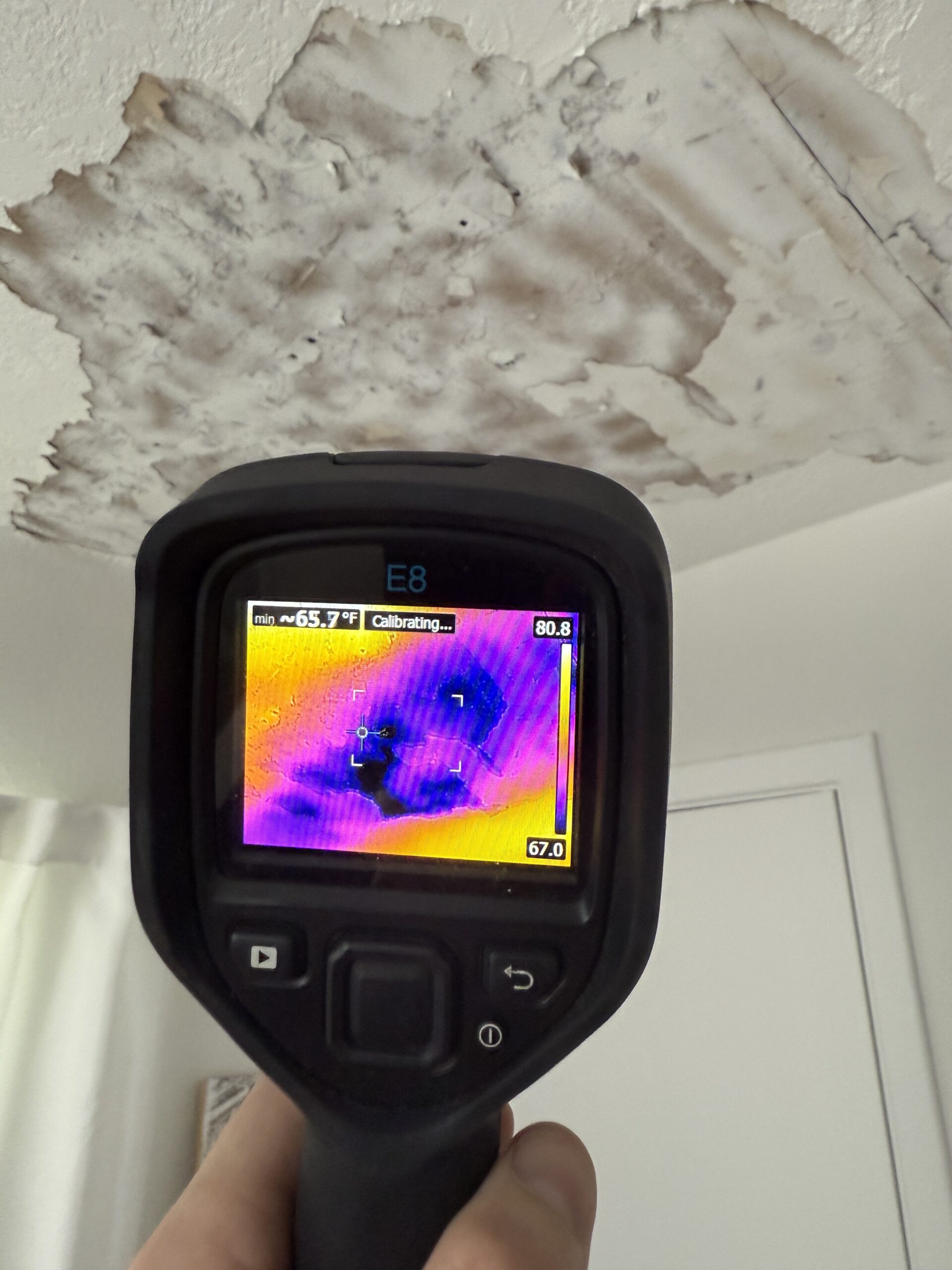 Mold-Remediation-Clearwater-Florida