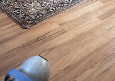 Mold Remediation Clearwater Florida